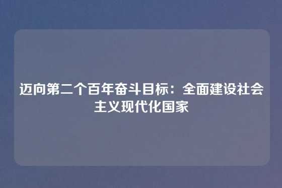 迈向第二个百年奋斗目标：全面建设社会主义现代化国家