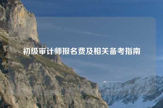 初级审计师报名费及相关备考指南