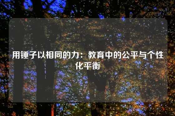 用锤子以相同的力：教育中的公平与个性化平衡