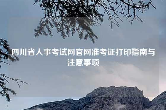 四川省人事考试网官网准考证打印指南与注意事项
