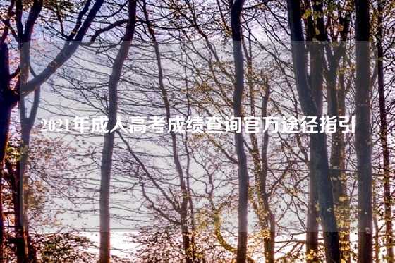 2021年成人高考成绩查询官方途径指引