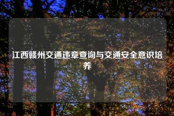 江西赣州交通违章查询与交通安全意识培养