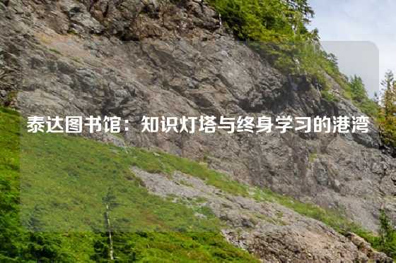 泰达图书馆：知识灯塔与终身学习的港湾