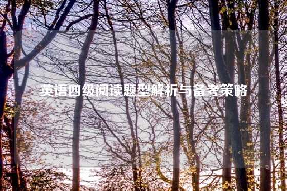 英语四级阅读题型解析与备考策略