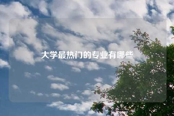 大学最热门的专业有哪些