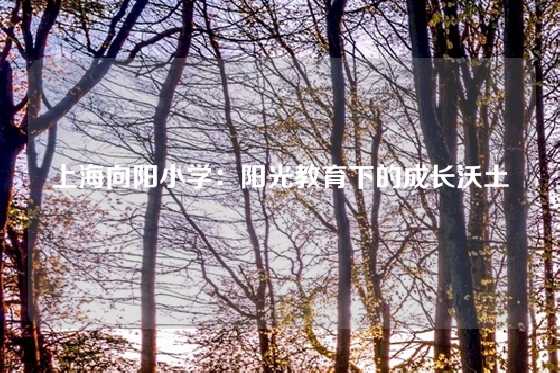 上海向阳小学：阳光教育下的成长沃土